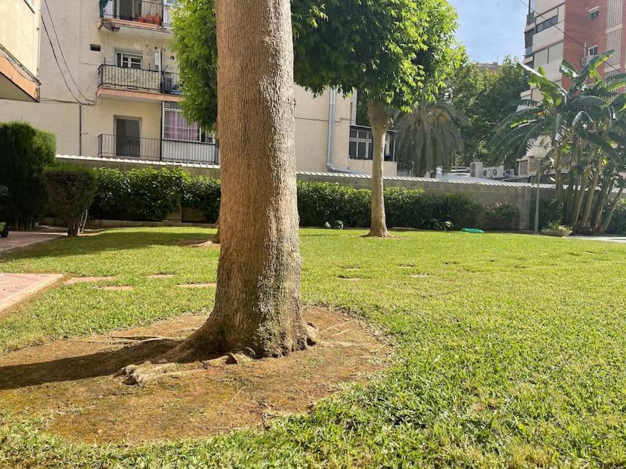 Inmejorable Ubicacion,70M Playa 70M Pueblo Apartment Benidorm Bagian luar foto